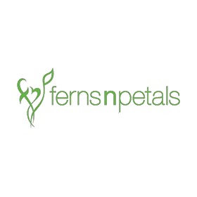 Ferns N Petals الرموز الترويجية 